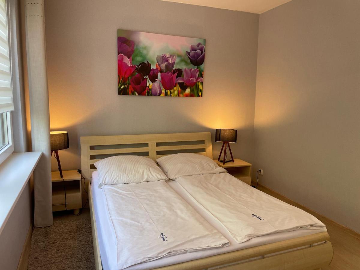 Wolin-Travel Apartament Dom Przy Parku ミエンジズドロイェ エクステリア 写真